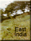 East India cover
