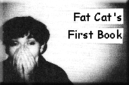 Fat Cat's First Book cover